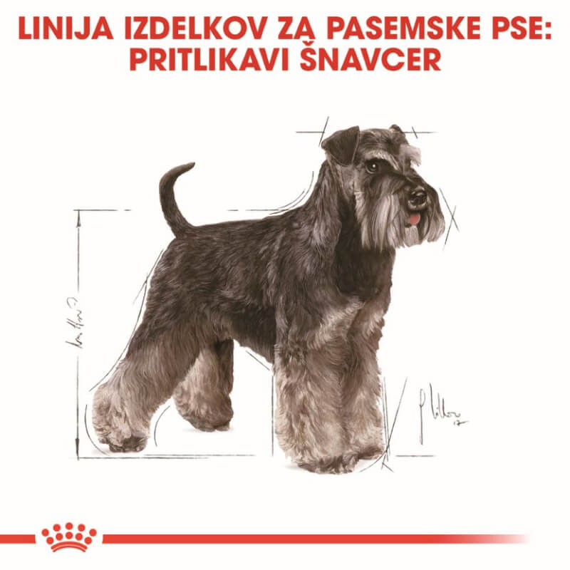 Royal Canin Schnauzer Adult - 3 kg (3)