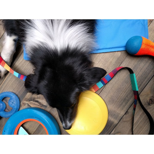 Nobby gumijasti frizbi, 1 kos - 19 cm (2)