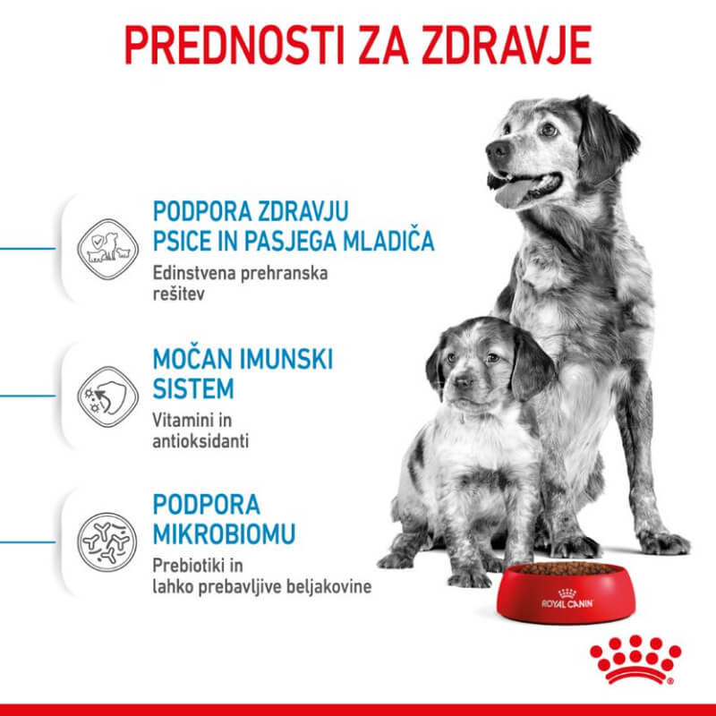 Royal Canin Medium Starter - 4 kg (3)