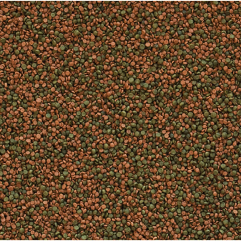 Tropical Cichlid Gran - 250 ml / 138 g (2)