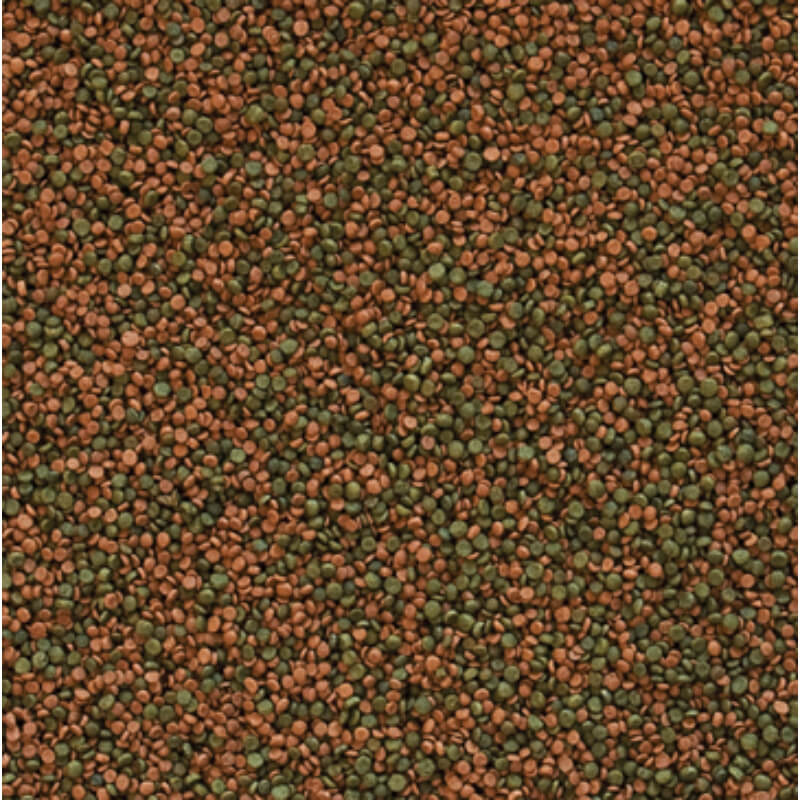 Tropical Cichlid Gran - 1000 ml / 550 g (2)