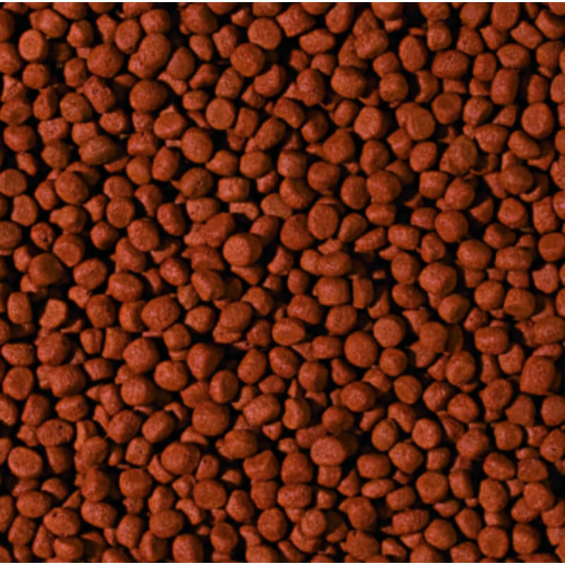 Tropical Cichlid Carnivore Medium Pellet -500 ml / 180 g (2)