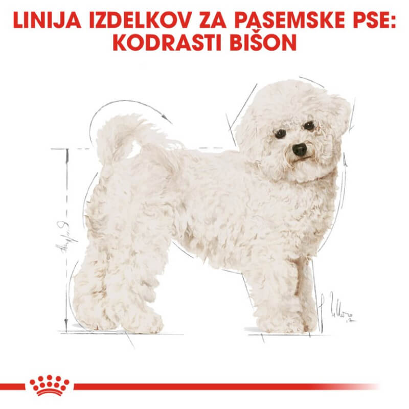 Royal Canin Bichon Frise - 1,5 kg (3)