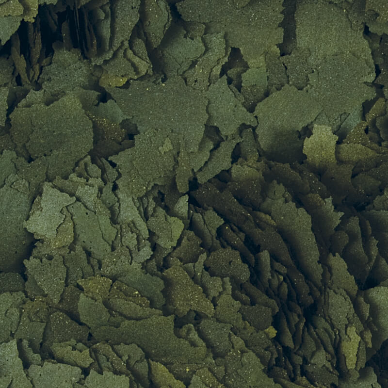 Tropical Super Spirulina Forte 36% - 1000 ml / 200 g (2)