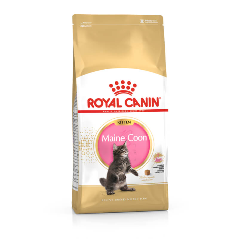 Royal Canin Maine Coon Kitten - 2 kg