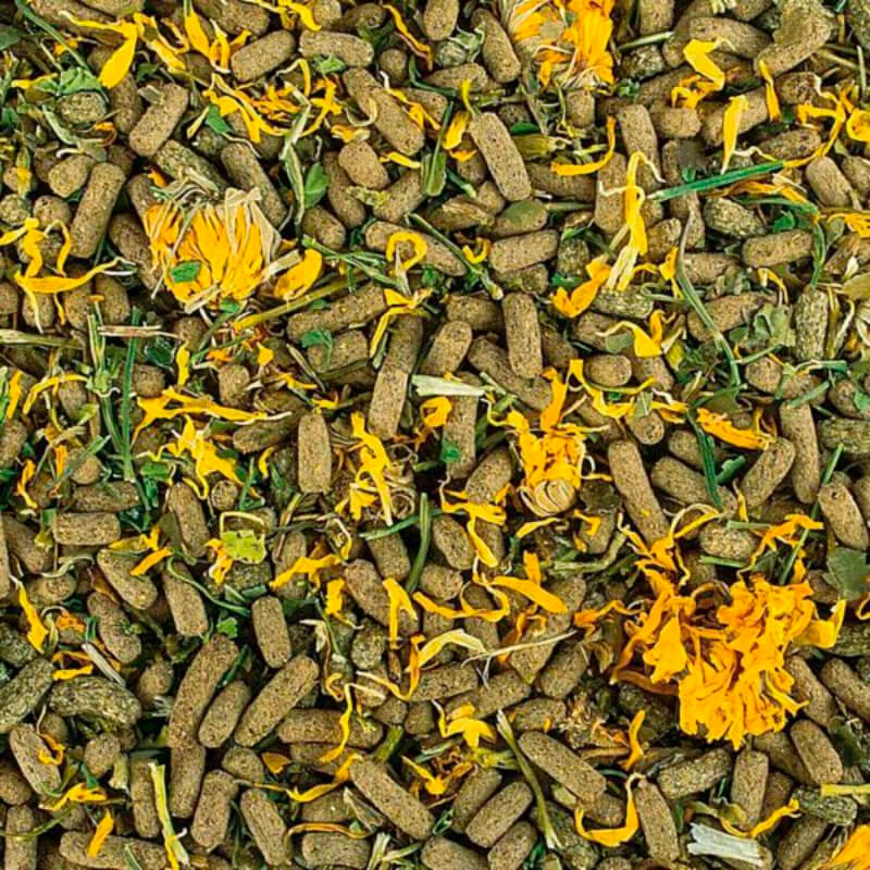 Tropical Soft Line mehka hrana za rastlinojede kuščarje - 260 g (2)