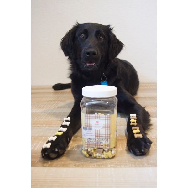 Piki Hop piškoti za pse Puppy kostke z vanilijo - 500 g (2)