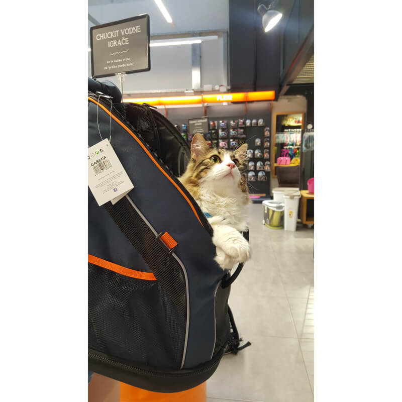 Camon nahrbtnik za psa do 8 kg, modra - 30 x 30 x 49 cm (2)