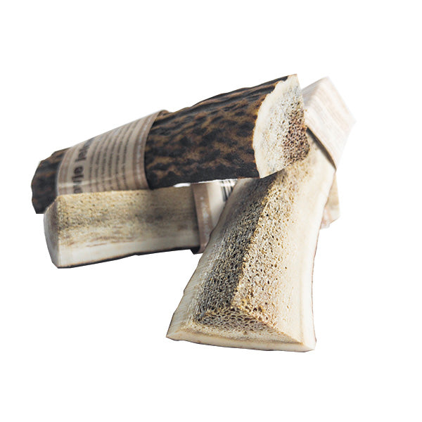 WolfPack rogovje jelena, prerezano - različne velikosti - M