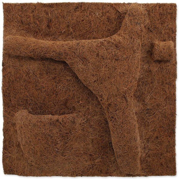 Repti Planet terarijsko ozadje iz kokosa Planter - 50 x 50 cm (2)