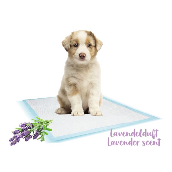 Nobby vpojna podloga (10 kos), vonj sivke - 60 x 60 cm (2)