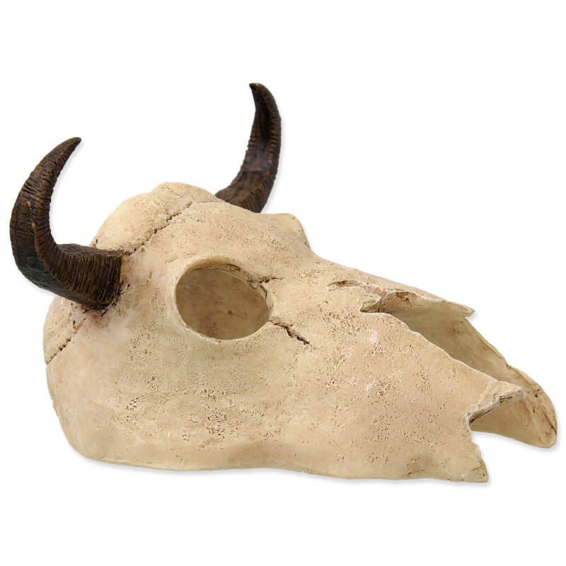 Repti Planet dekoracija lobanja bivola - 12,5 x 11,8 x 8 cm (2)