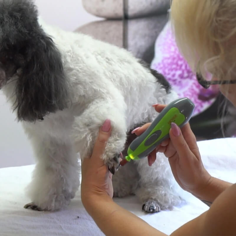 Moser obrezovalnik krempljev Moser Trimmer, z baterijo (5)