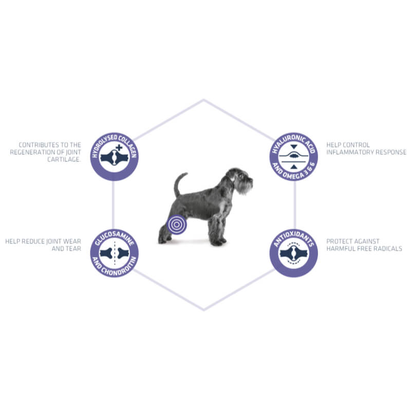 Advance veterinarska dieta Articular Care (2)