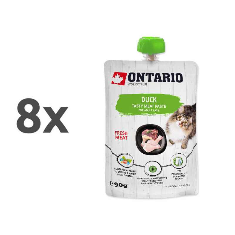 Ontario Cat pasta z raco - 8 x 90 g