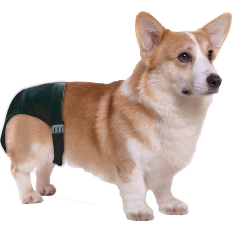 Pawise hlačke za psičke št.2 - 32-39 cm (3)