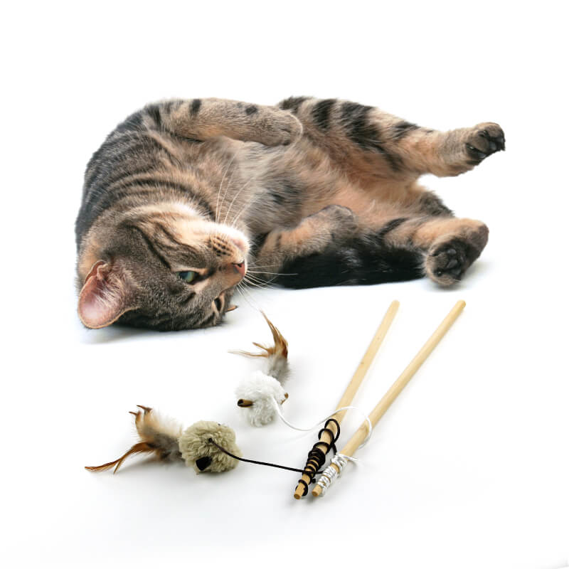 All For Paws igralna palica z miško - 64 cm (5)