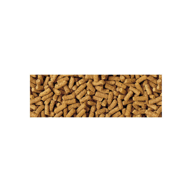 Tetra Pond Wheatgerm sticks - 1L (3)