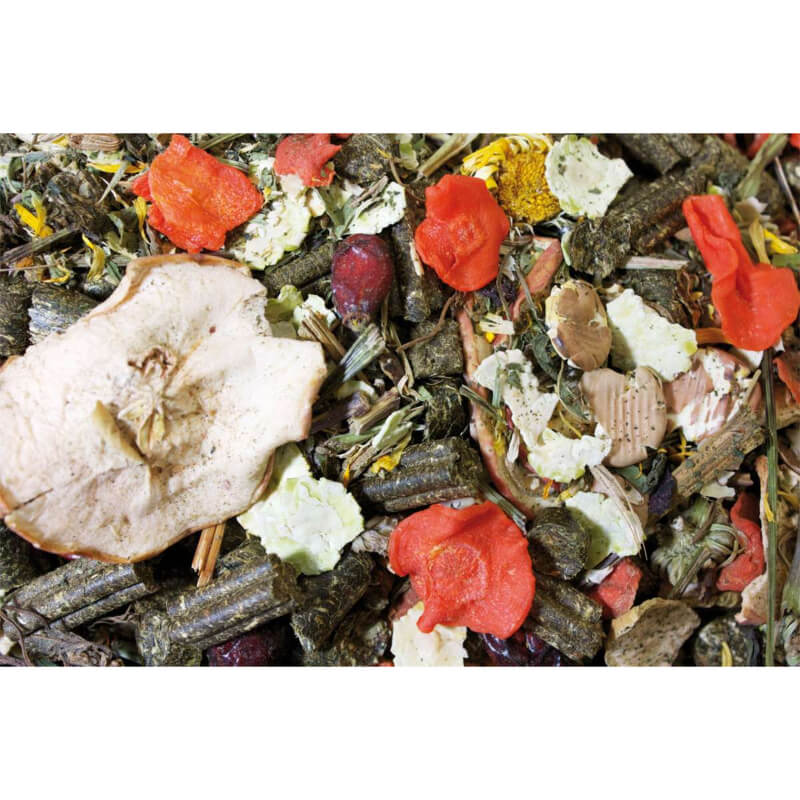 JR Farm Grainless Mix hrana za činčile - 650 g (2)