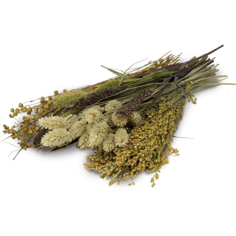 JR Farm Nibble Potpourri - 40 g (2)