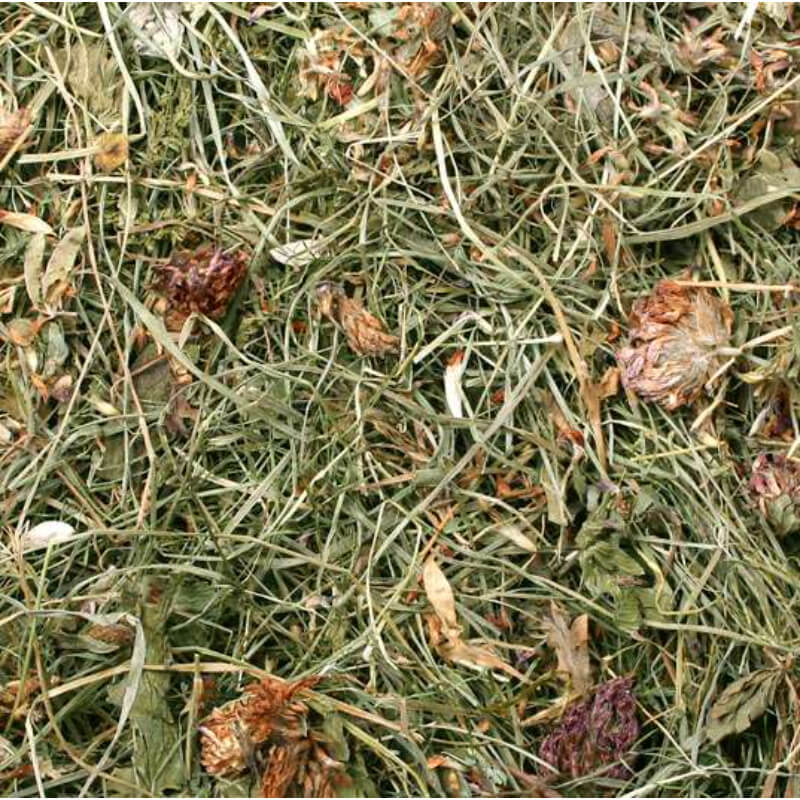JR Farm seno z deteljico - 500 g (2)