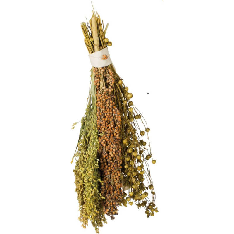 JR Farm posladek MIX Pick & Fly sirek, proso in lan - 130 g (2)