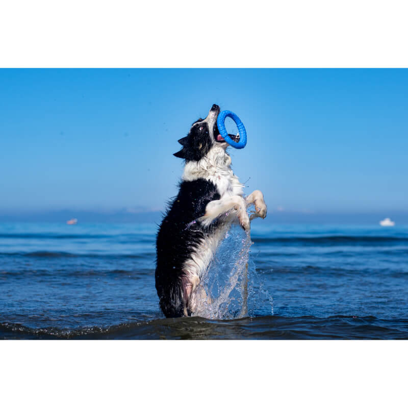 Kiwi Walker pena TPR obroč maxi, moder - 18 cm (3)