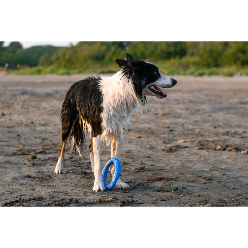 Kiwi Walker pena TPR obroč mini, moder - 13 cm (3)