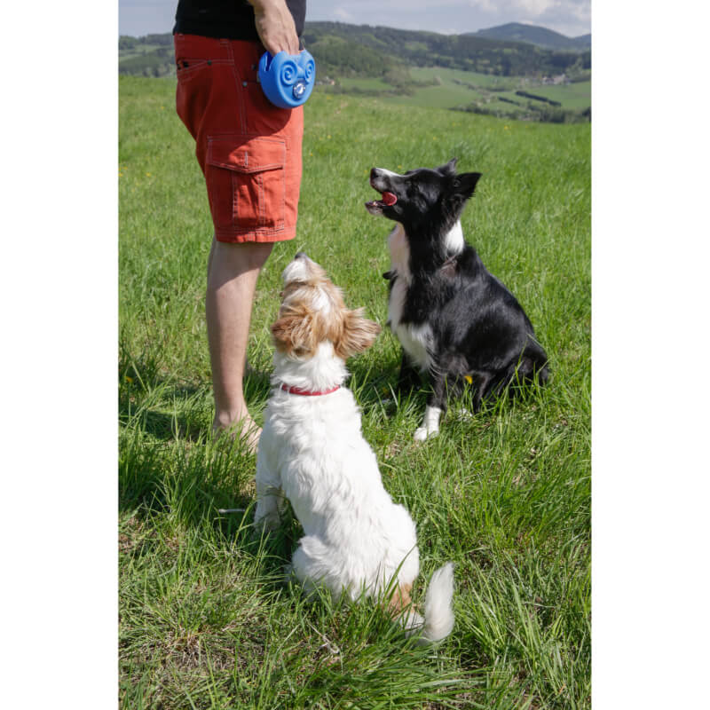 Kiwi Walker silikonska torbica za posladke, roza - 14 cm (3)