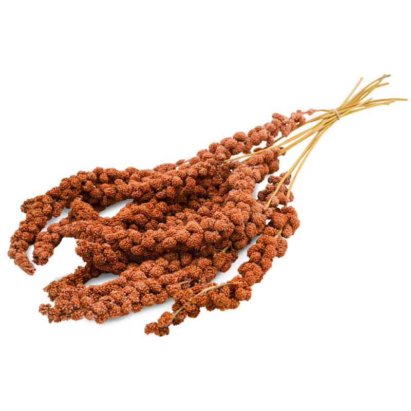 JR Farm posladek za ptice, rdeče proso lisičjega repa - 250 g (2)