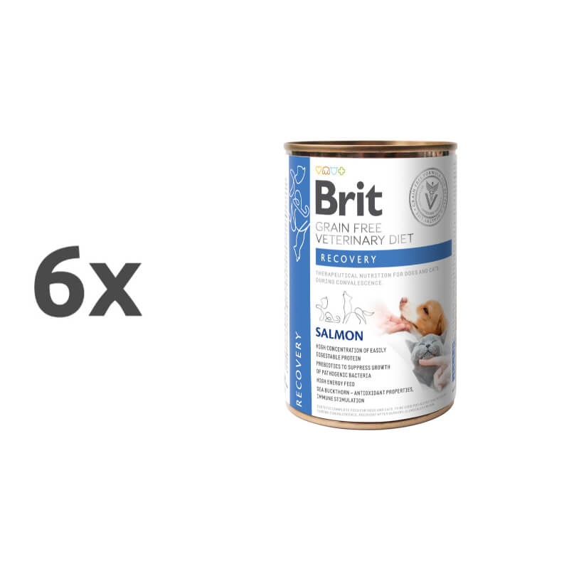 Brit GF Veterinarska dieta za pse in mačke Recovery, 400g - 6 x 400 g