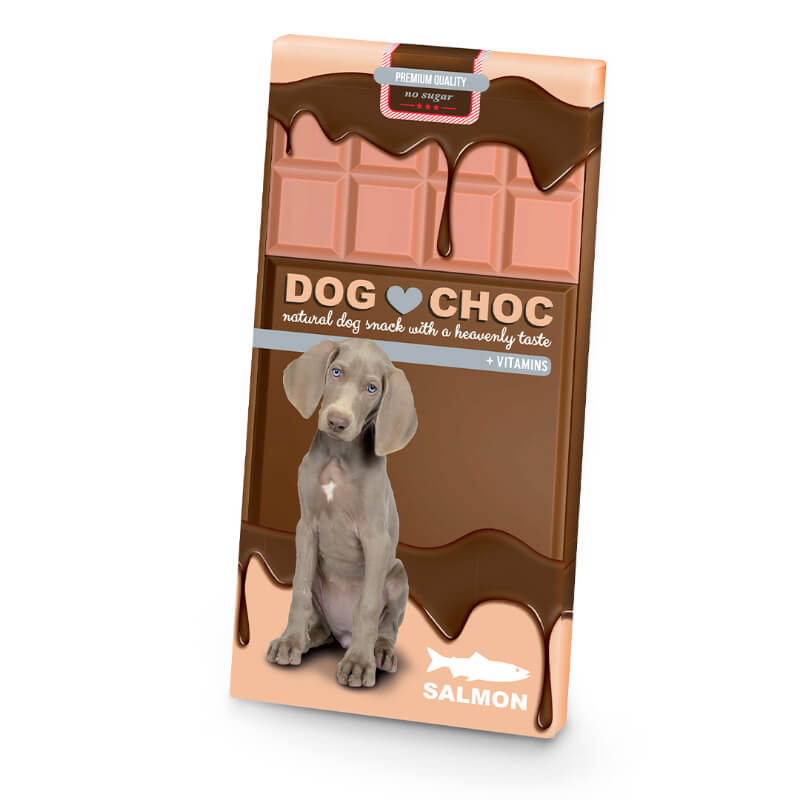 Duvo pasja čokolada DogChoc, z lososom - 100 g