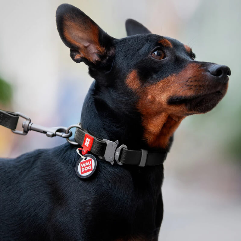 Waudog vodoodporna ovratnica, črna - kovinska zaponka, 43 - 70cm/ 40mm (2)