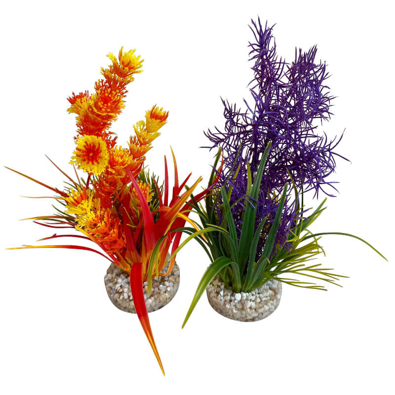 Sydeco dekor Aquaplant Color Medium (2)