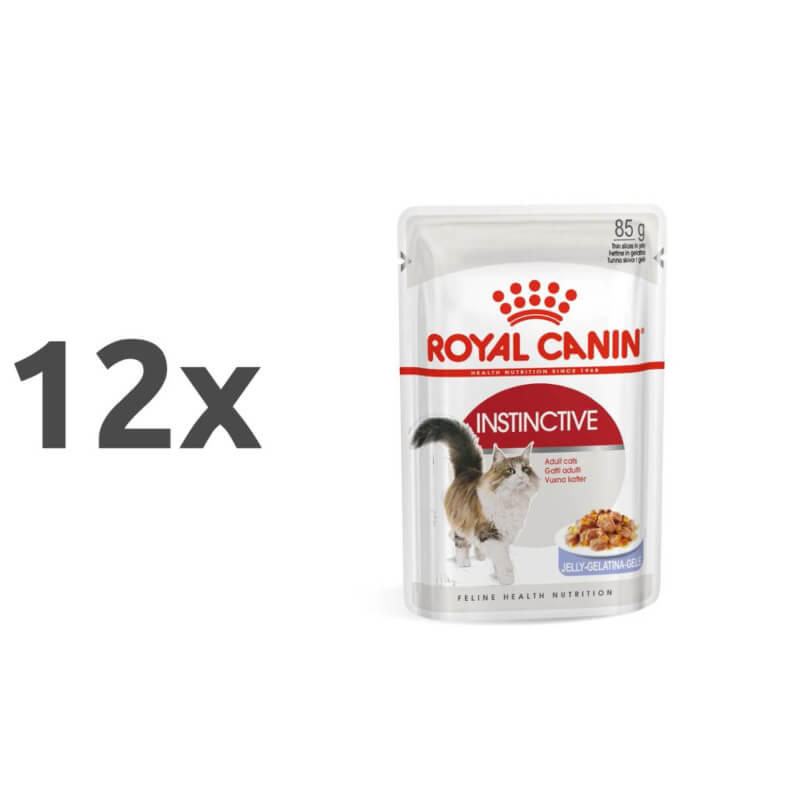 Royal Canin Adult Instinctive - žele - 12 x 85 g