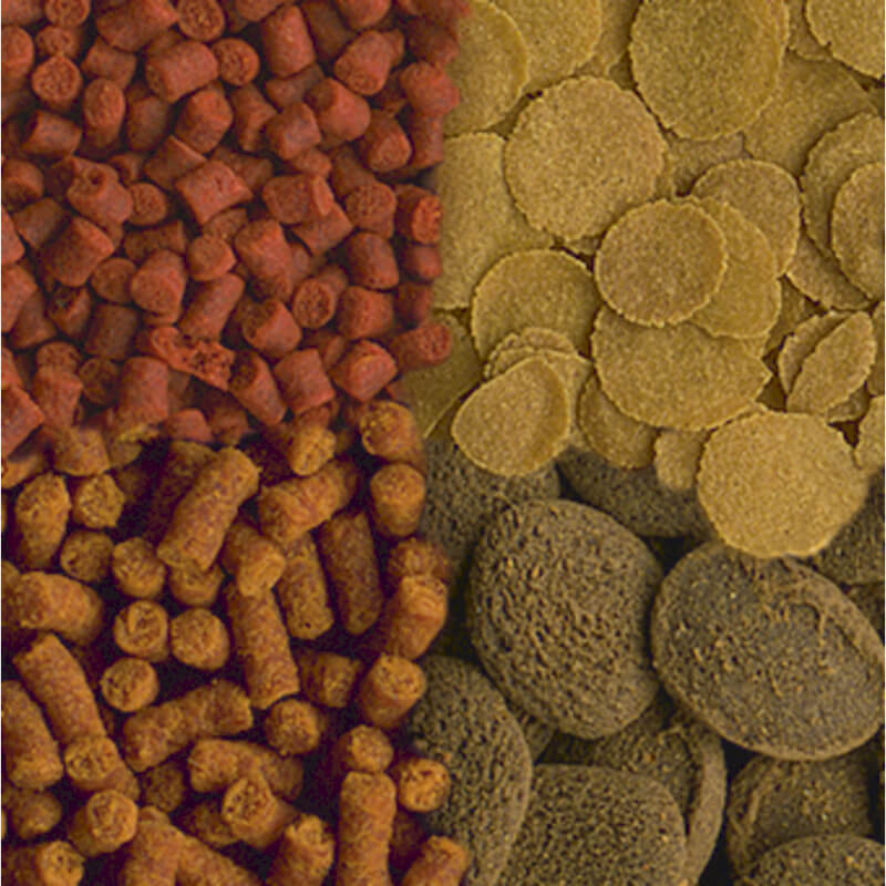 Tetra Crusta Menu - 100 ml / 52 g (2)