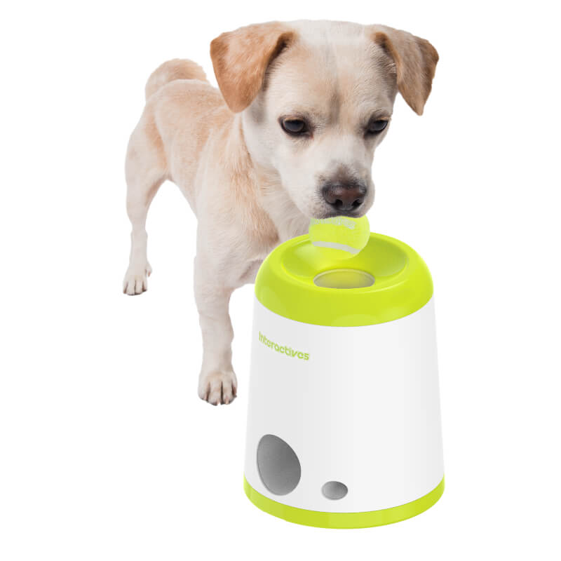 All For Paws interaktivna igrača Fetch'N'Treat - 23,2 x 23,2 x 27,7 cm (2)