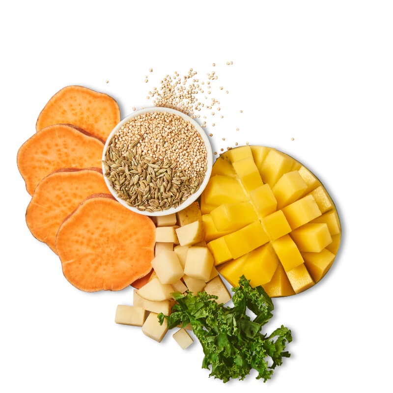 Lily's Kitchen Totally Tropical Plant Power priboljški, mango jerky - 70 g (3)