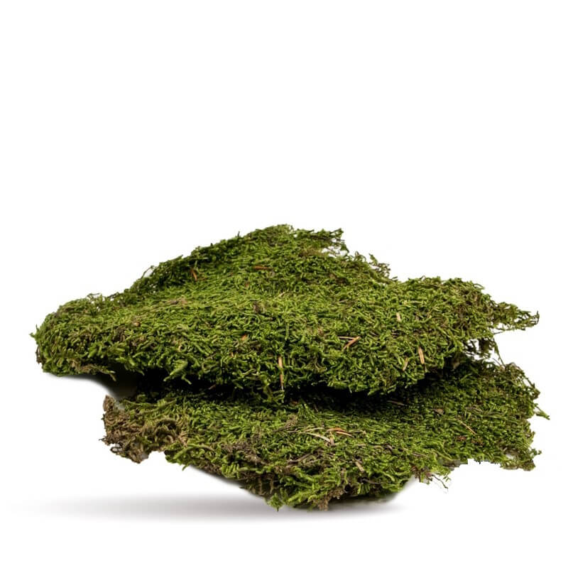 Terra Natura podlaga za terarije, mah - 100 g