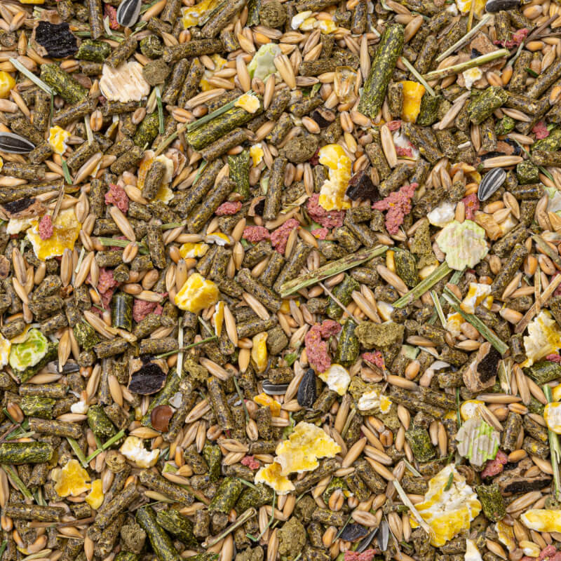 Deli Nature Basic hrana za morske prašičke - 3,5 kg (2)