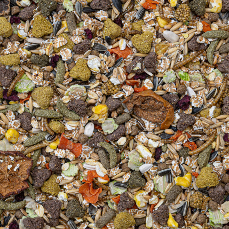 Deli Nature Rodelicious hrana za podgane - 2,5 kg (2)