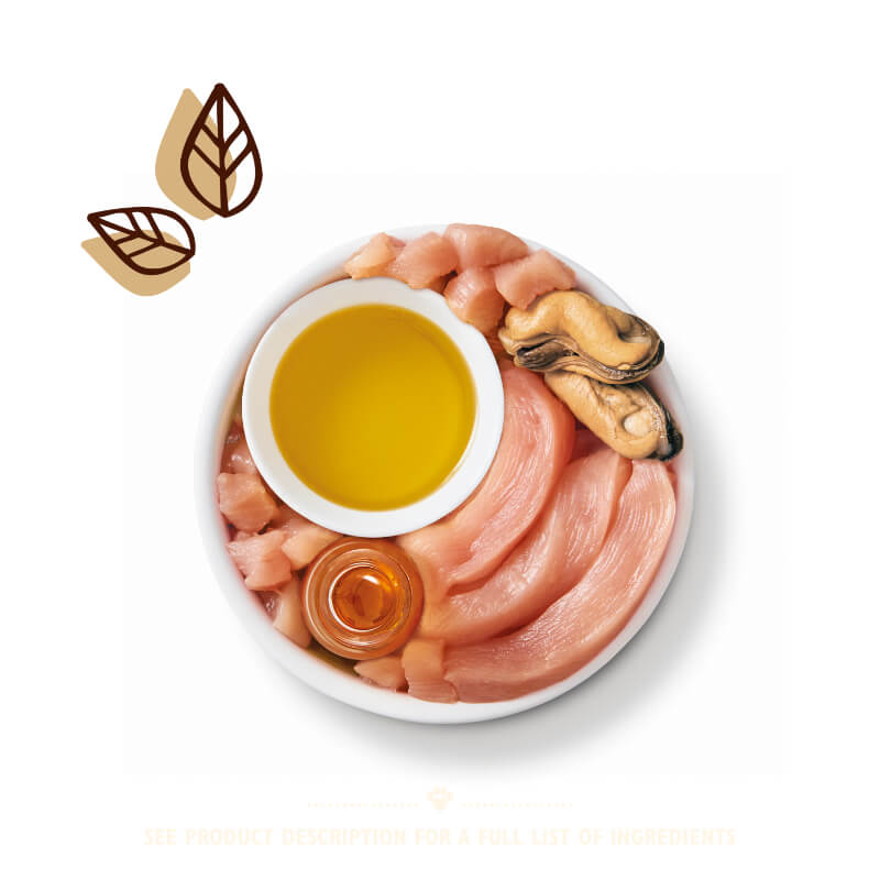 Lily's Kitchen Shredded Fillets koščki mesa v omaki - piščanec in školjke - 70 g (3)