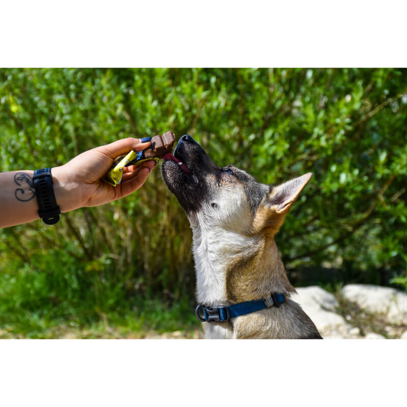 NAP posladek proteinska ploščica za pse, piščanec - 50 g (2)