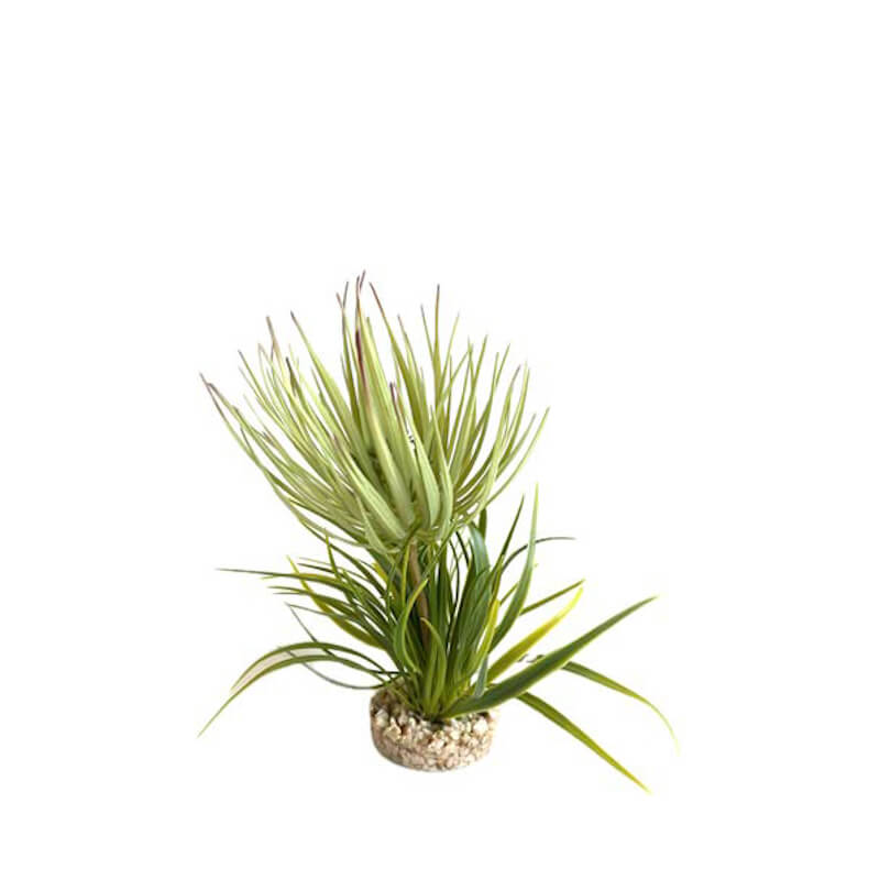 Sydeco umetni dekor Terra trava - 23 cm