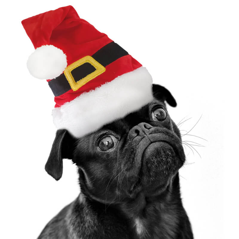 Nobby plišasta božičkova kapica za pse - 38 x 14,5 cm (2)