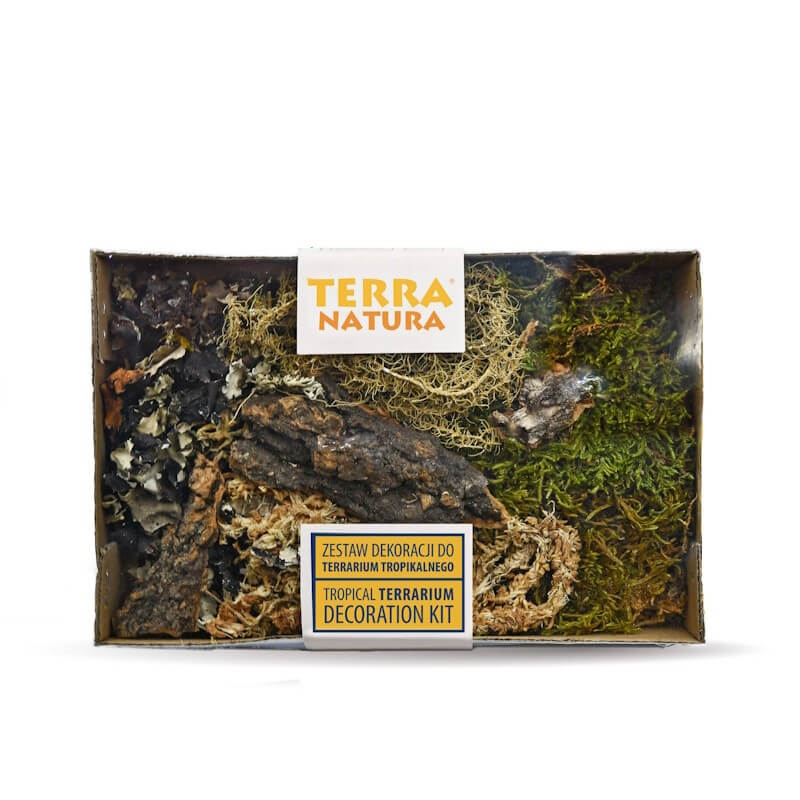 Terra Natura dekorativni set Tropical za terarije - 5 kos