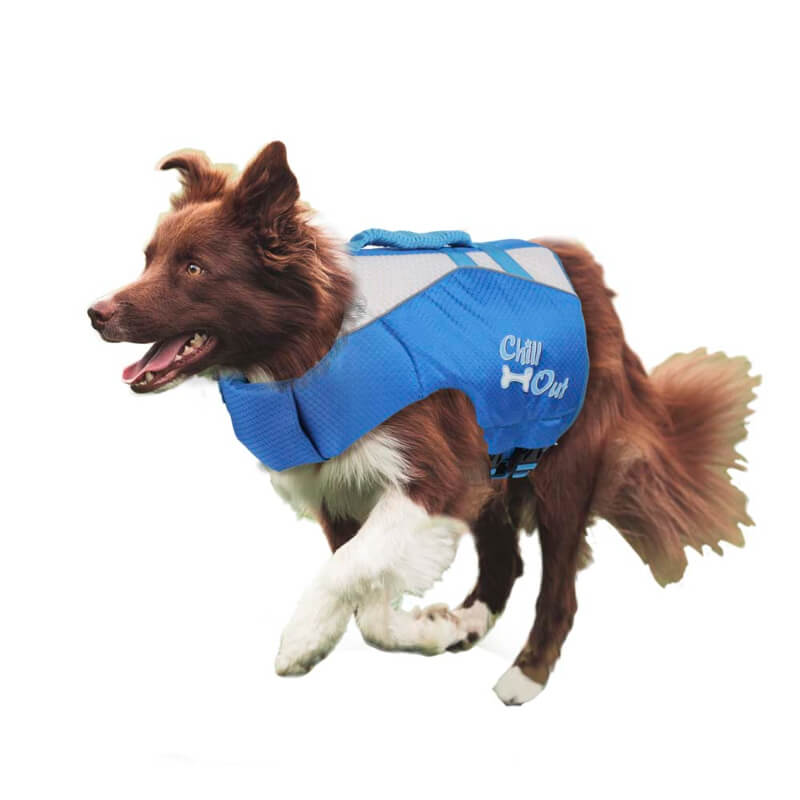 All for paws Chill Out plavalni jopič za psa M, moder - 35,5 cm (5)