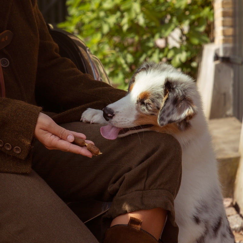 Essential Foods Finest pasje klobasice, losos in peteršilj - 20 kos / 120 g