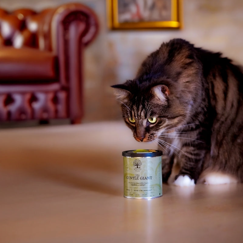 Essential Foods The Gentle Giant mačji priboljški, losos in mačja meta - 100 g