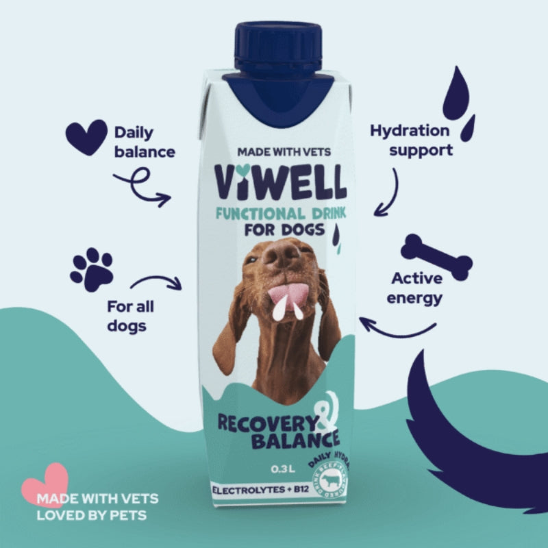 ViWell funkcionalna pijača za pse, Recovery & Balance - 0,3 L